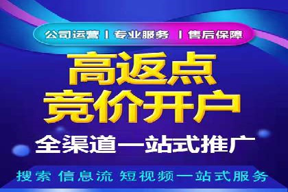 SEM优化策略：打造高效广告投放案例
